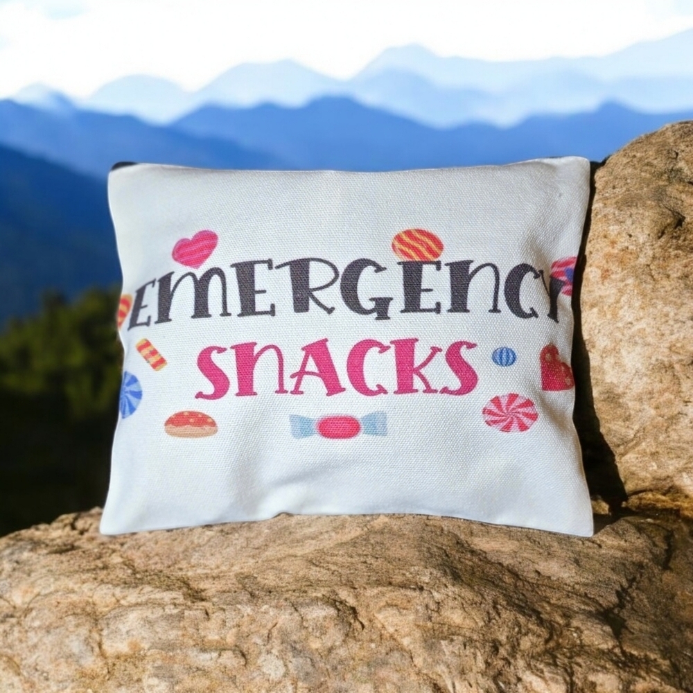 Canvas Zip bag-Make-Up/Snack Stash/Hide all bag